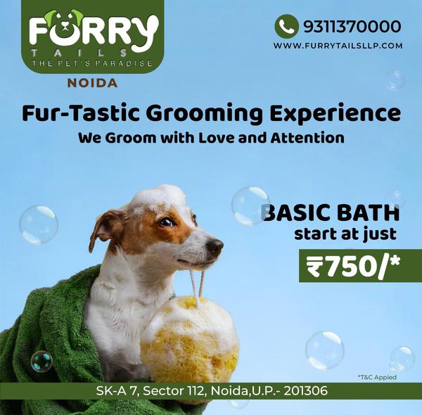 petboardingsector49noida