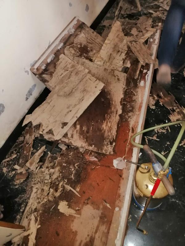 wooden panel antitermite treat