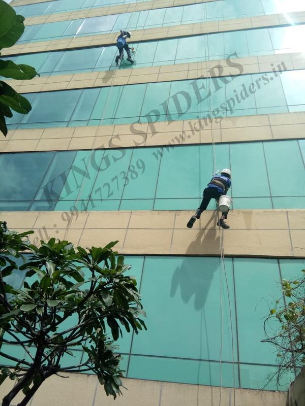 pigeon netting maintenance che