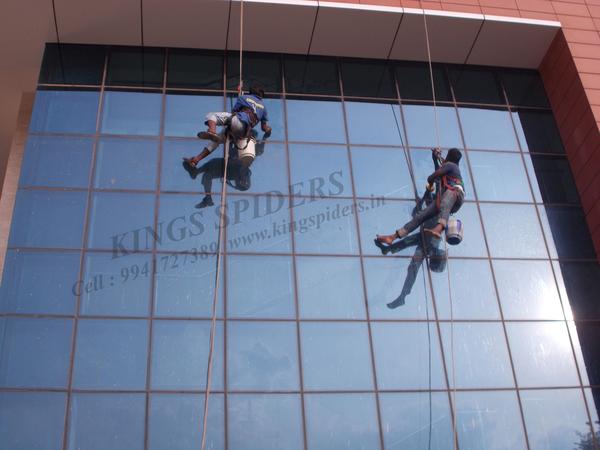 pigeon netting maintenance che