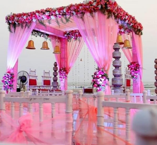 picture perfect backdrop