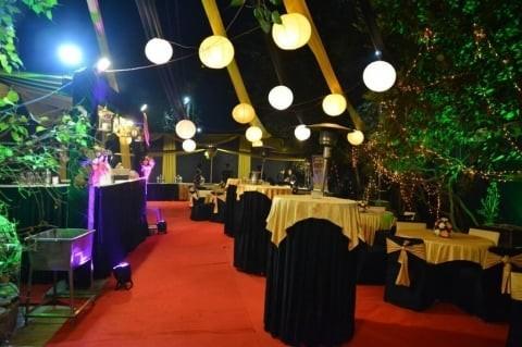 balloons backdrops props welco