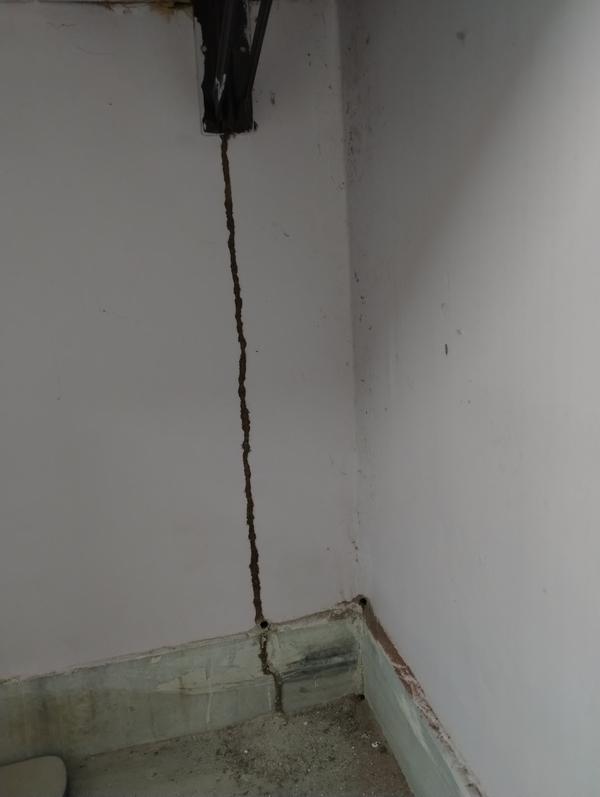 non smelling chemicals for ter