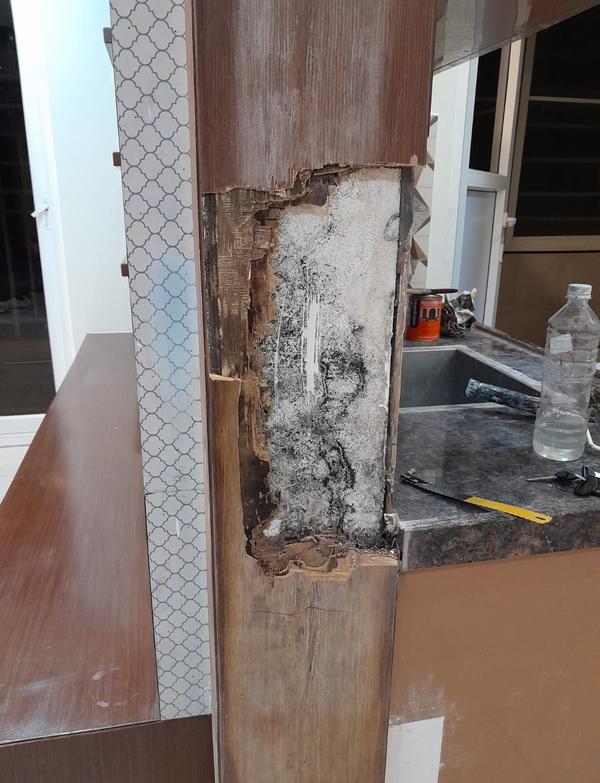 wooden panel antitermite treat