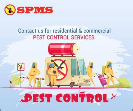 kitchenpestcontrolservicesinpi
