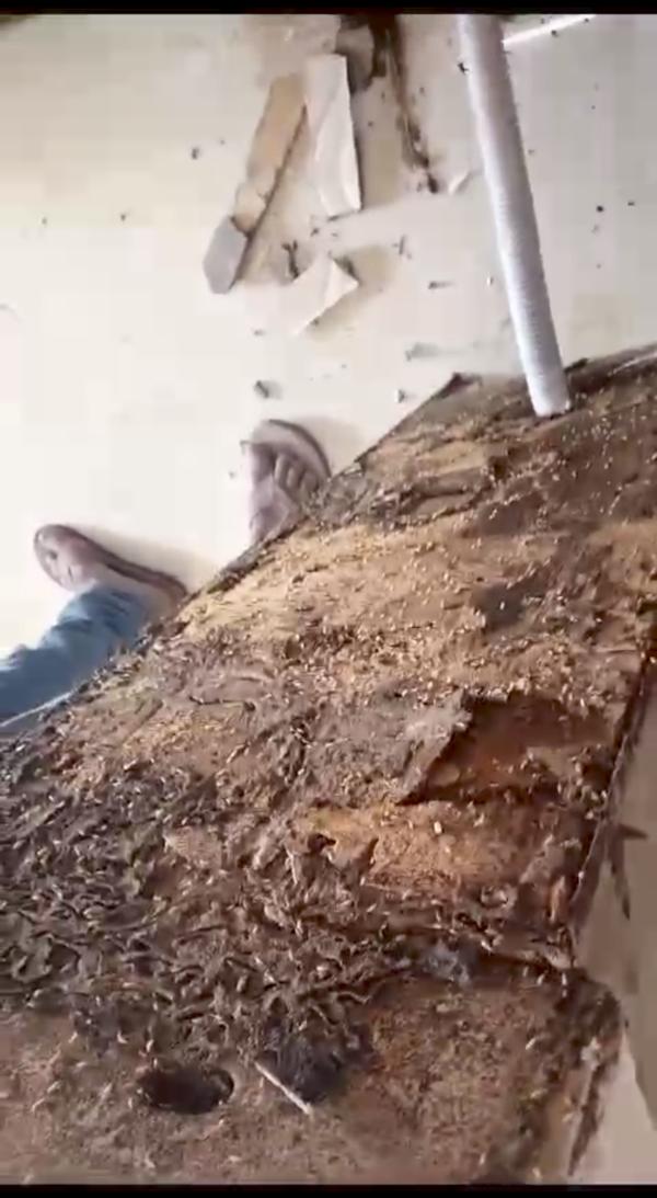 public health products safety