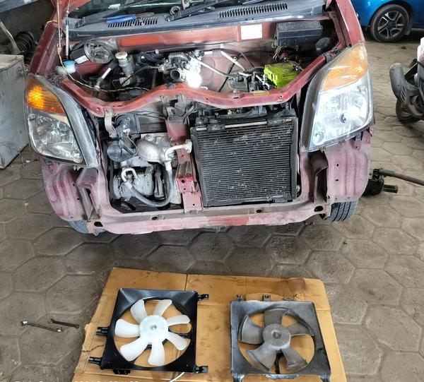 mg