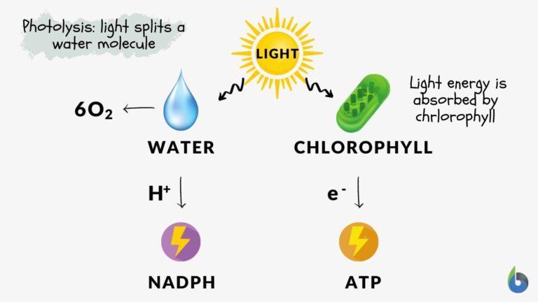 Photolysis is a process w
