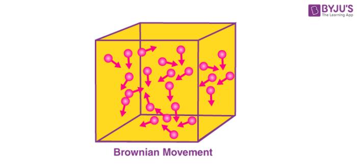 Brownian Motion: Observin