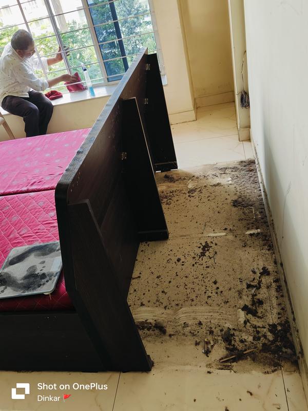 average house cleaning cost