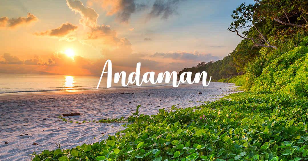 andaman group tour operator
