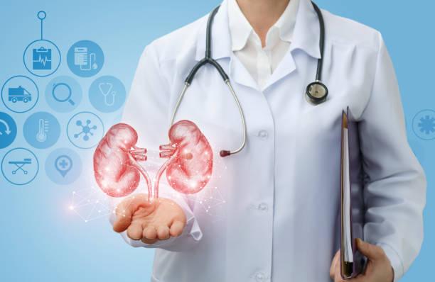 4d sonography