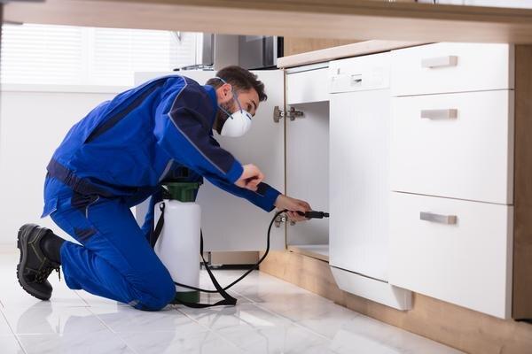 woodborer treatment solutions