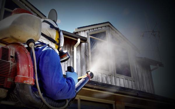 pest control vasant kunj