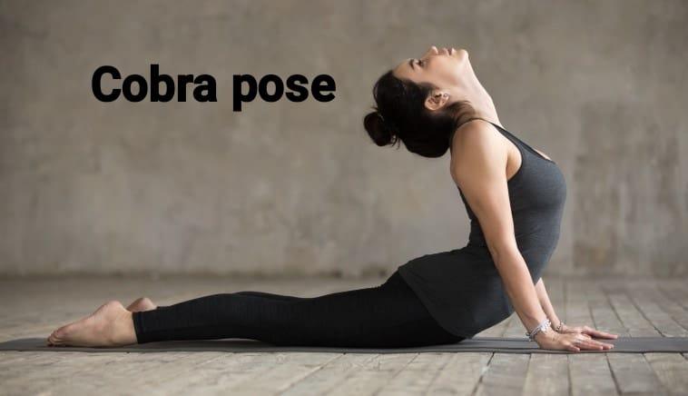 cobra yoga pose