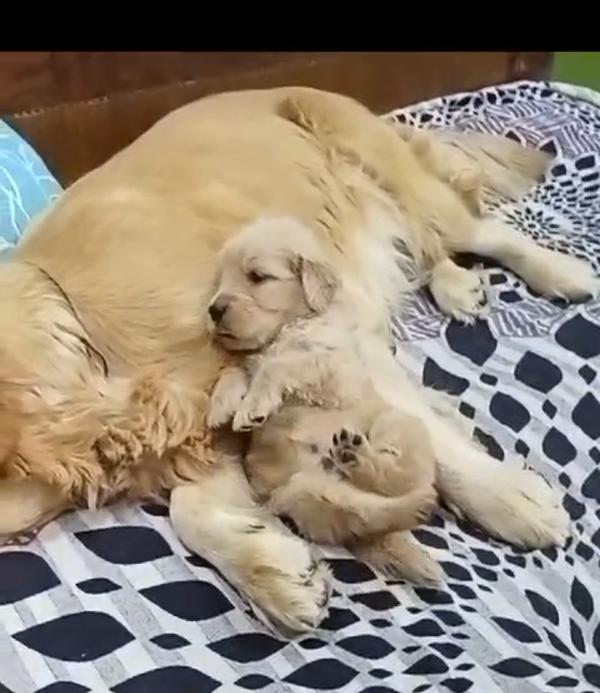 loving caring home