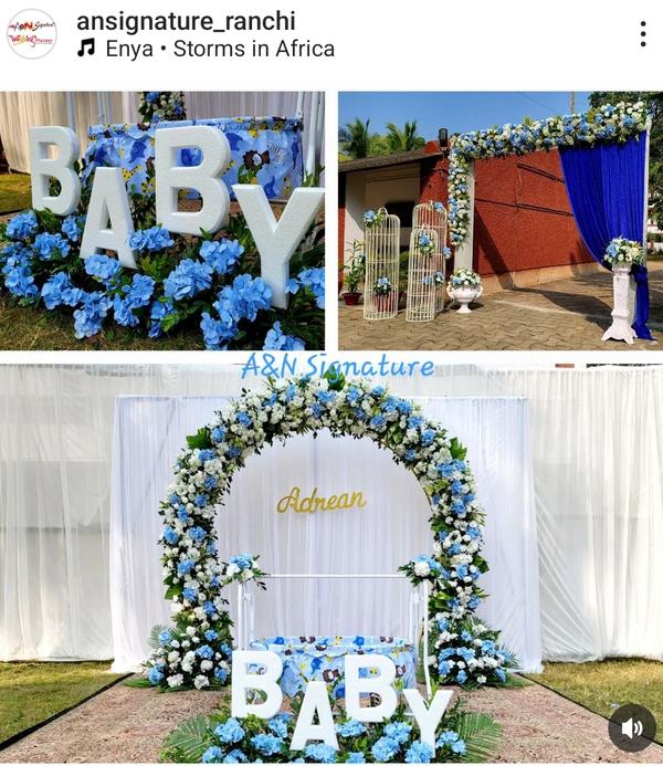 beautiful plants with pots ran