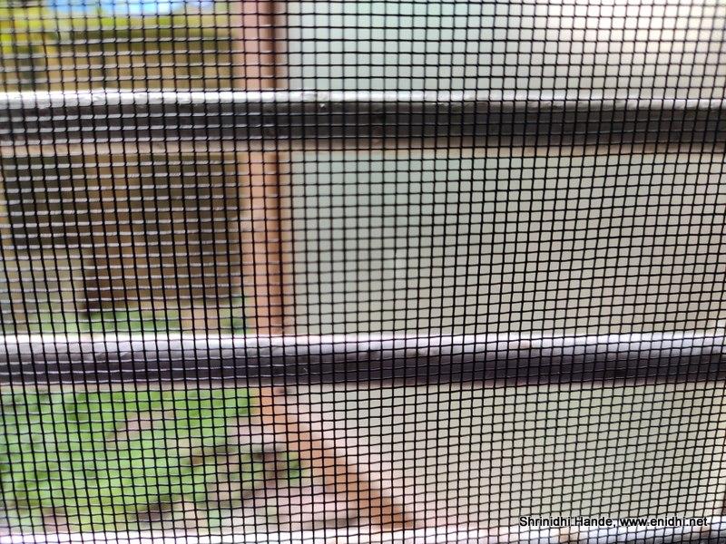 insectscreen mosquitonet