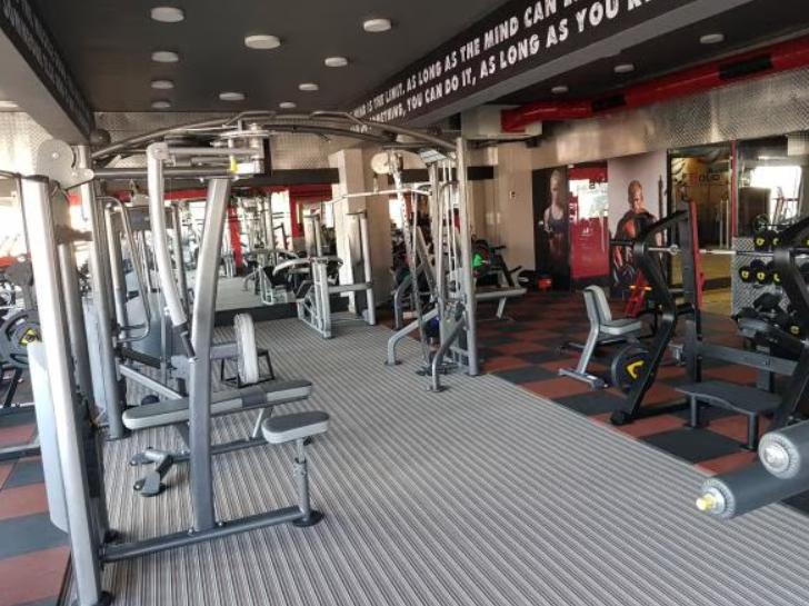 cardiovascular workouts