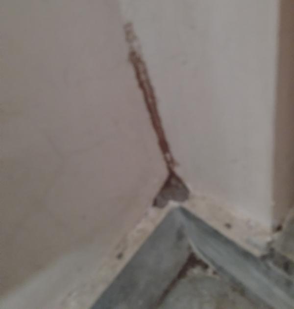 independent houses termite con