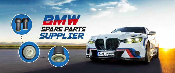 Car Shocker Absorber. Car Shoc