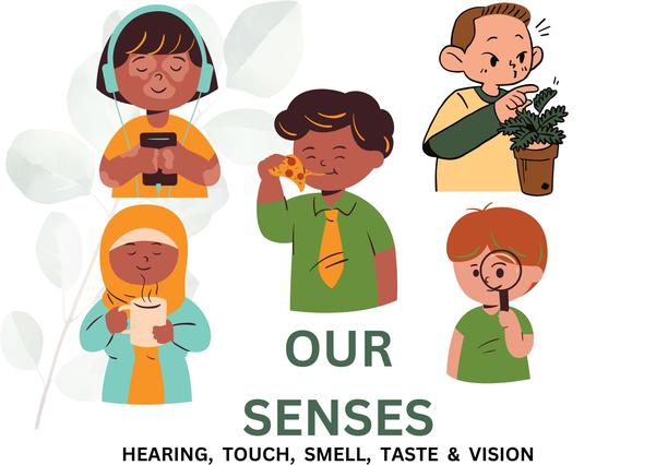 sensory information