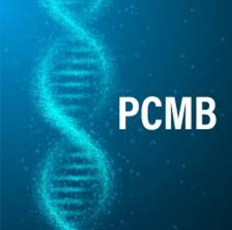 Excelling in 12th PCMB wi