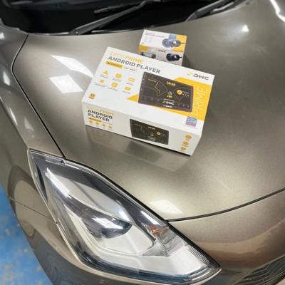 punecarcare