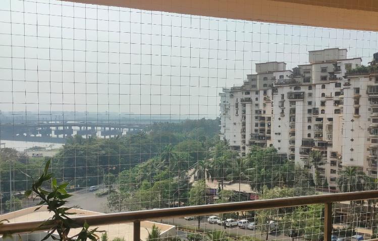 bird related nuisances