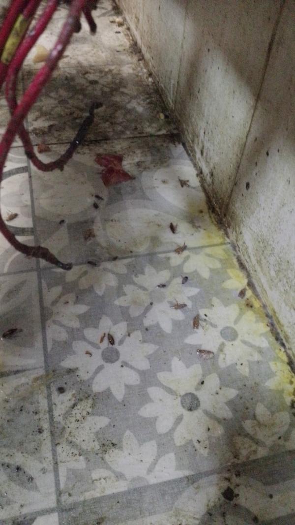 free site inspection