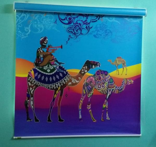 customized window blinds musir