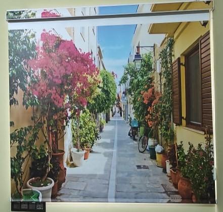 customized window blinds musir