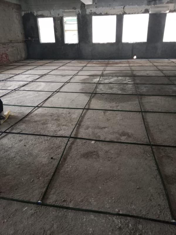 proactive pest prevention plan