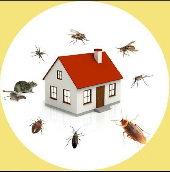 best cockroach pest control
