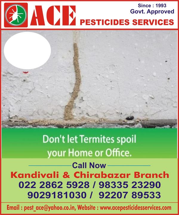 bed bugs pest control lower pa