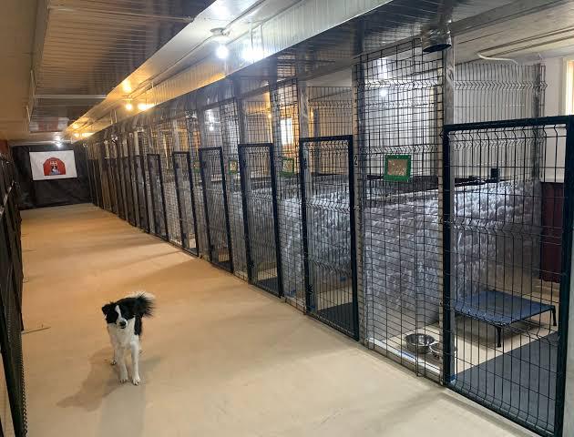 nine auspicious days