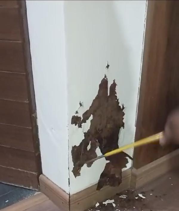 homes restaurants offices