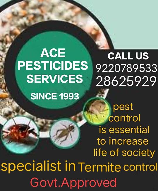 herbal pest control mumbai