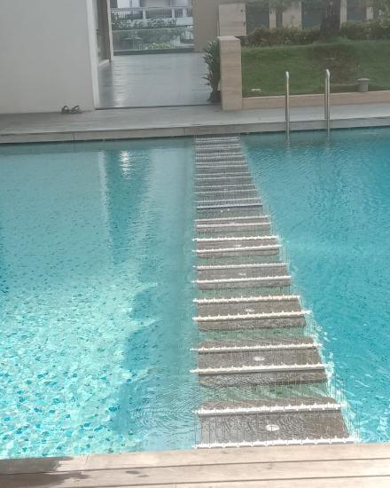 best bird spike installation