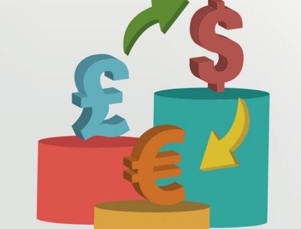 Foreign exchange consultant ne