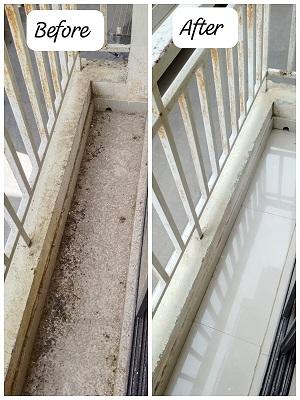 deep cleaning service