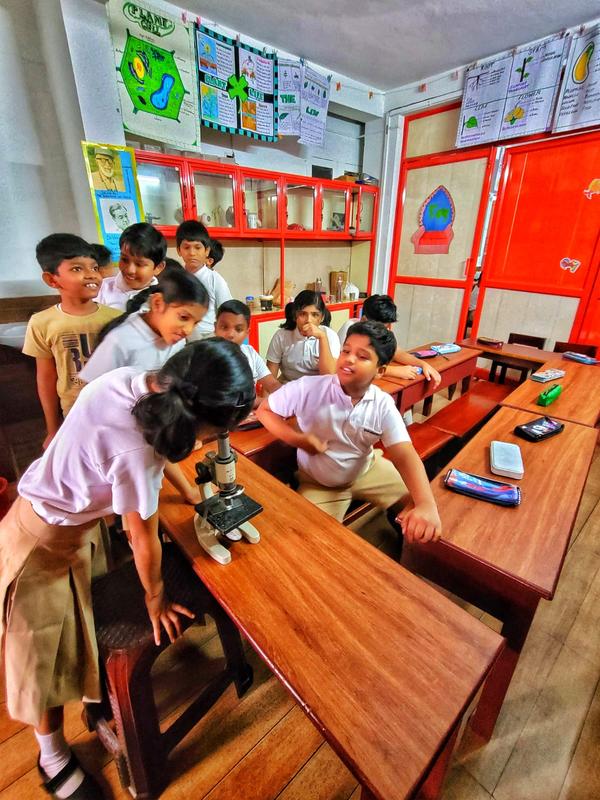 Microscopic view of Stoma