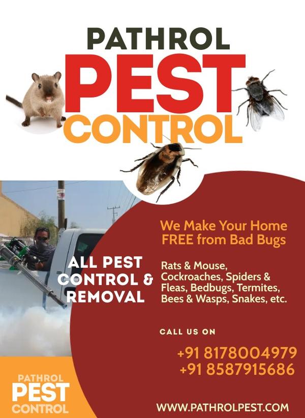 pest control service
