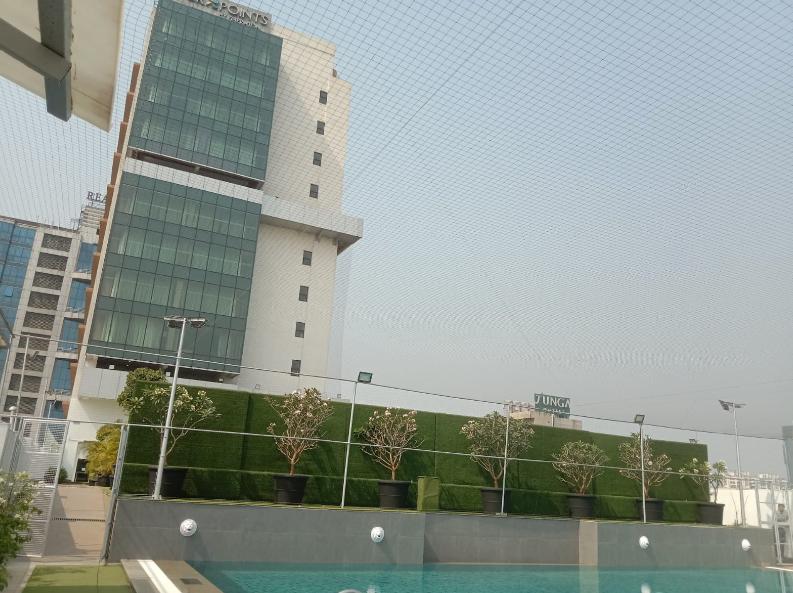 professional bird net installa