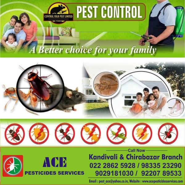 pest control services kandival