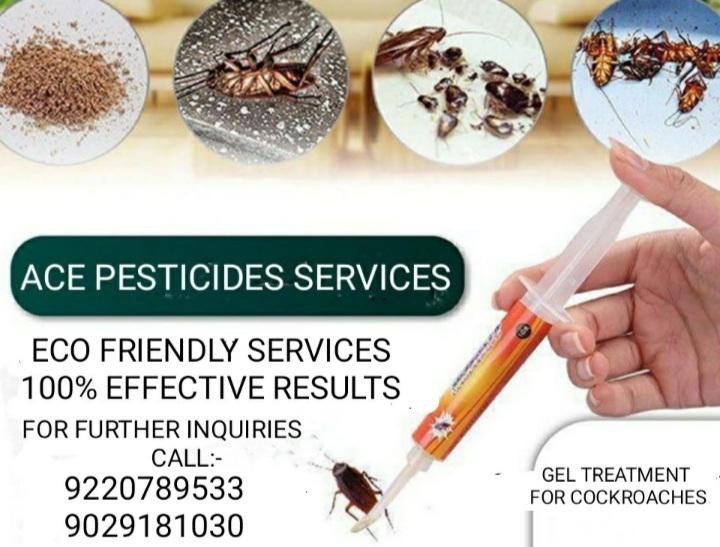 pest control services kandival