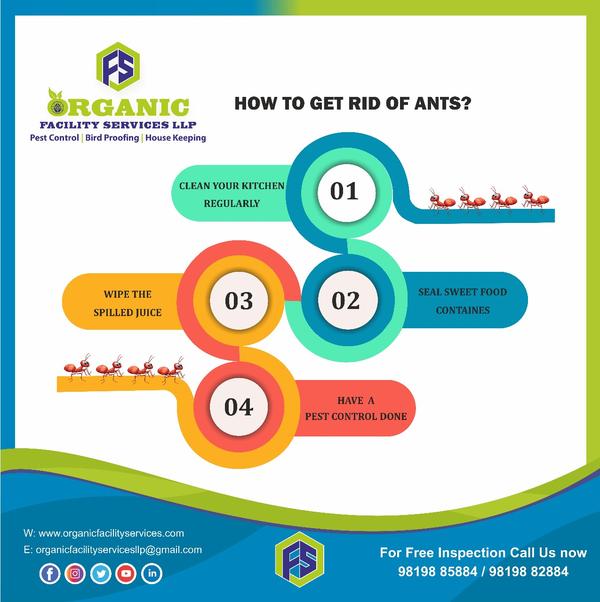 red ants pest control service