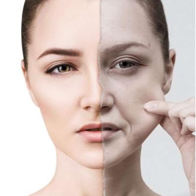 Collagen is a protein that pla