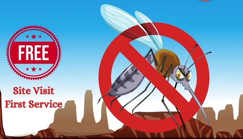 bug free living