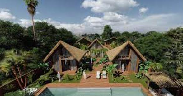 holistic design services